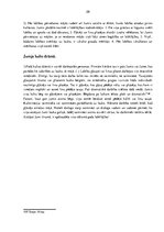 Referāts 'Baltu mitoloģija', 29.