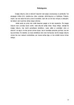 Referāts 'Rains "Gals un sākums"', 18.