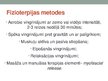 Prezentācija 'Fibromialģijas sindroms. Ārstēšanas iespējas, fizioterpija', 17.