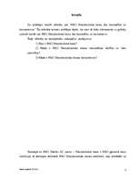 Referāts 'ANO starptautiskā tiesa', 2.