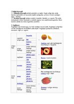 Konspekts 'auglis', 3.