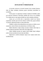 Referāts 'Vadītāja loma organizācijā', 17.