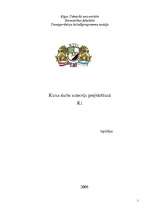 Referāts 'Ceļu būves projekts', 1.