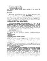 Prakses atskaite 'Prakses atskaite programmā "Mārketings"', 8.