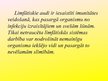 Prezentācija 'Cilvēka limfātiskā sistēma un imunitāte', 7.