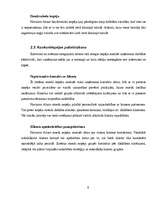 Referāts 'IT izmantošana uzņēmuma vadībā', 8.