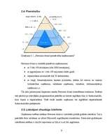 Referāts 'IT izmantošana uzņēmuma vadībā', 9.