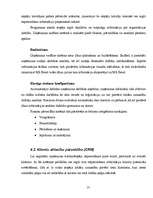 Referāts 'IT izmantošana uzņēmuma vadībā', 15.