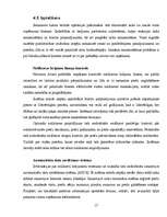 Referāts 'IT izmantošana uzņēmuma vadībā', 17.