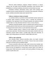 Referāts 'IT izmantošana uzņēmuma vadībā', 19.