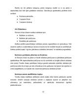 Referāts 'IT izmantošana uzņēmuma vadībā', 20.