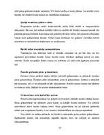 Referāts 'IT izmantošana uzņēmuma vadībā', 28.