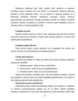 Referāts 'IT izmantošana uzņēmuma vadībā', 45.