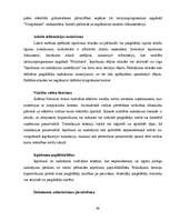 Referāts 'IT izmantošana uzņēmuma vadībā', 46.