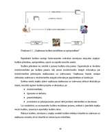 Referāts 'IT izmantošana uzņēmuma vadībā', 66.