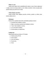 Referāts 'IT izmantošana uzņēmuma vadībā', 74.