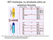 Prezentācija 'RET proto-onkogēns, tā veidotais receptors un izraisītās slimības', 8.