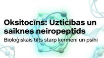 Prezentācija 'Oksitocīns', 1.