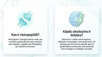 Prezentācija 'Oksitocīns', 2.