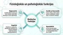 Prezentācija 'Oksitocīns', 6.