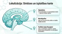 Prezentācija 'Oksitocīns', 7.