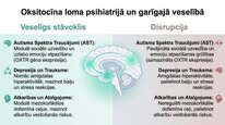 Prezentācija 'Oksitocīns', 12.