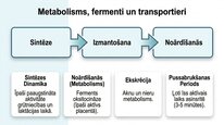Prezentācija 'Oksitocīns', 16.