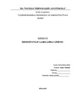 Referāts 'Iedzīvotāju labklājības līmenis', 2.