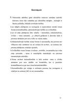 Referāts 'Vainas nozīme tiesību pārkāpuma sastāvā', 15.