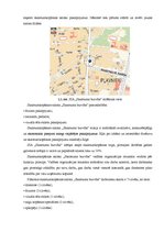 Biznesa plāns 'SIA "Skaistuma burvība"', 2.