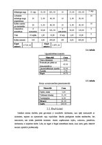 Biznesa plāns 'SIA "Skaistuma burvība"', 7.