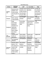 Biznesa plāns 'SIA "Skaistuma burvība"', 26.