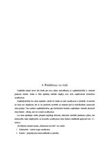 Biznesa plāns 'SIA "Skaistuma burvība"', 29.