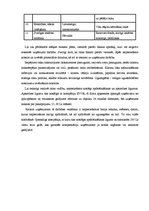 Biznesa plāns 'SIA "Skaistuma burvība"', 31.