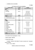 Biznesa plāns 'SIA "Skaistuma burvība"', 33.