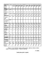 Biznesa plāns 'SIA "Skaistuma burvība"', 34.