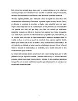 Referāts 'Ministru kabineta valdību deklarācijās paustā integrācijas politika no 1993.gada', 5.