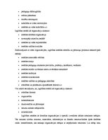 Referāts 'Izglītības vadība', 4.