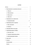 Referāts 'Plakanā pēda - tās iemesli, profilakse un ārstēšana', 2.