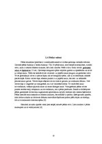 Referāts 'Plakanā pēda - tās iemesli, profilakse un ārstēšana', 10.