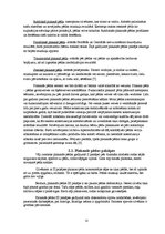 Referāts 'Plakanā pēda - tās iemesli, profilakse un ārstēšana', 13.