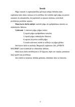 Referāts 'Peļņa un tās rādītāji', 4.