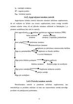 Referāts 'Peļņa un tās rādītāji', 12.