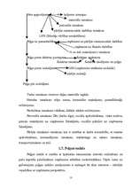 Referāts 'Peļņa un tās rādītāji', 13.