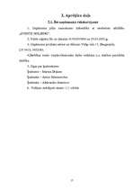 Referāts 'Peļņa un tās rādītāji', 17.