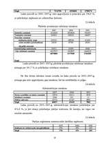 Referāts 'Peļņa un tās rādītāji', 19.