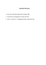 Eseja 'Bērncentrētais mācību modelis', 4.