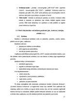 Biznesa plāns 'SIA "XXX" biznesa plāns', 21.