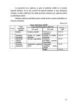 Biznesa plāns 'SIA "XXX" biznesa plāns', 23.