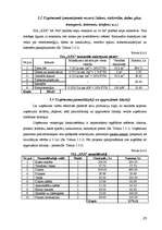 Biznesa plāns 'SIA "XXX" biznesa plāns', 25.